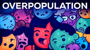 Image result for overpopulation